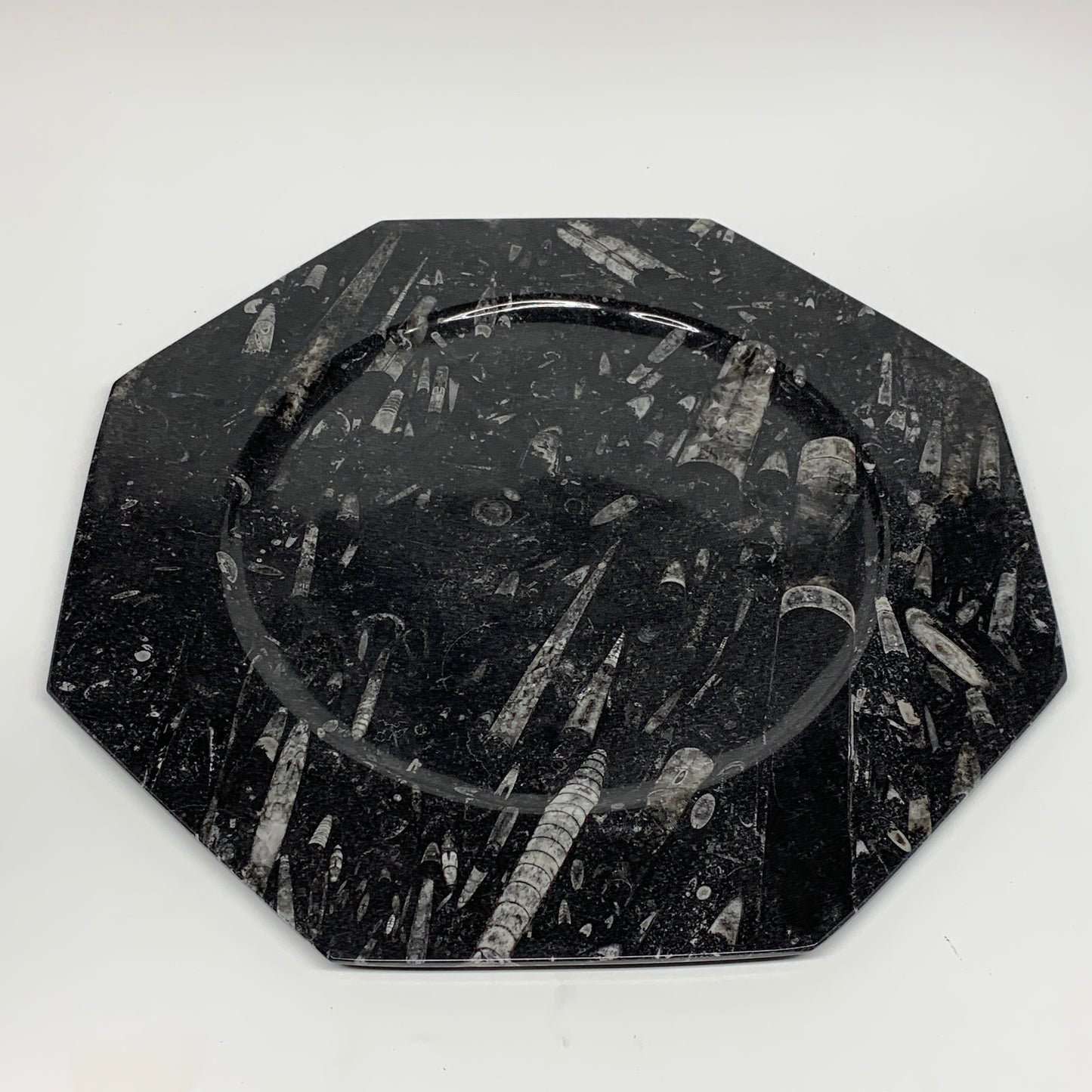 2pcs, 12" Large Octagon Shape Black Fossils Orthoceras Plates @Morocco, B8331