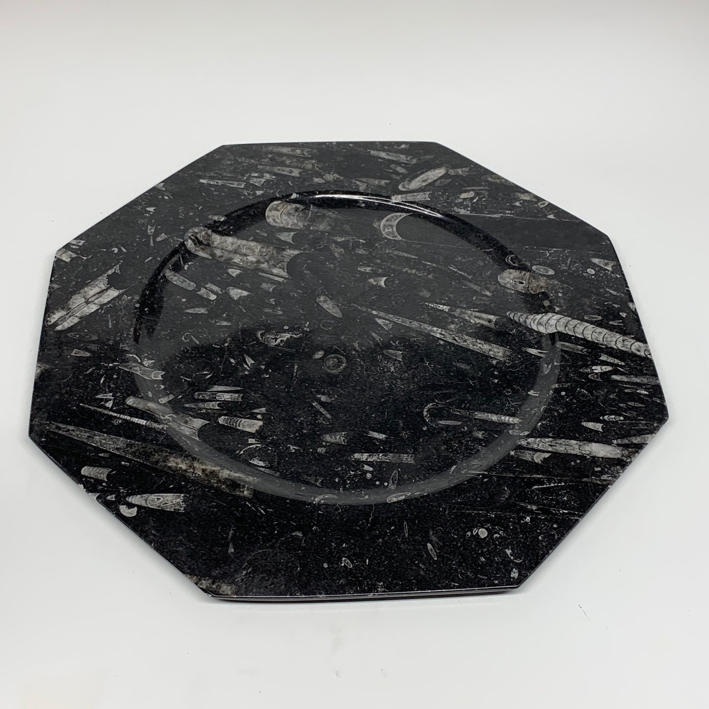 2pcs, 12" Large Octagon Shape Black Fossils Orthoceras Plates @Morocco, B8331