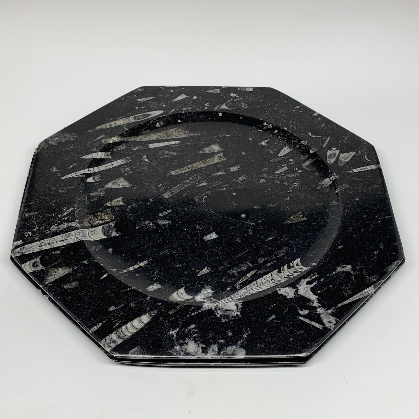 2pcs, 12" Large Octagon Shape Black Fossils Orthoceras Plates @Morocco, B8331