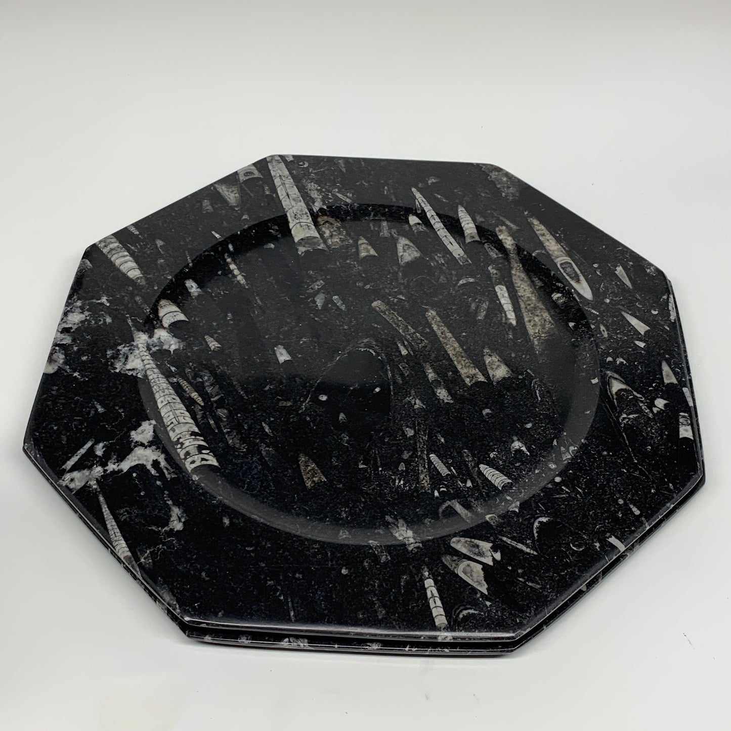 2pcs, 12" Large Octagon Shape Black Fossils Orthoceras Plates @Morocco, B8331