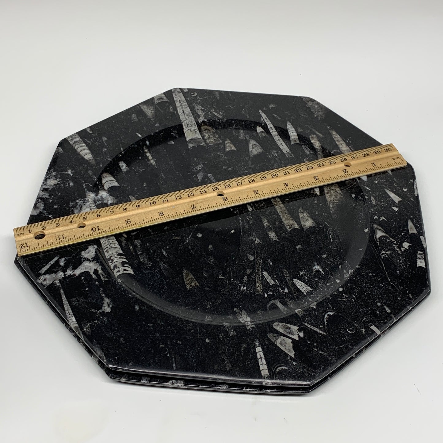 2pcs, 12" Large Octagon Shape Black Fossils Orthoceras Plates @Morocco, B8331