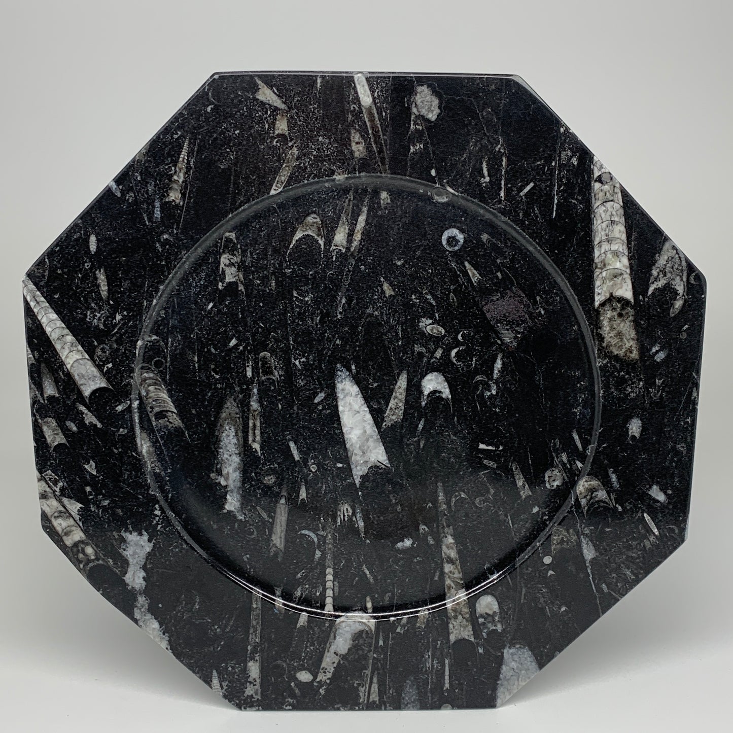 2pcs, 12" Large Octagon Shape Black Fossils Orthoceras Plates @Morocco, B8332