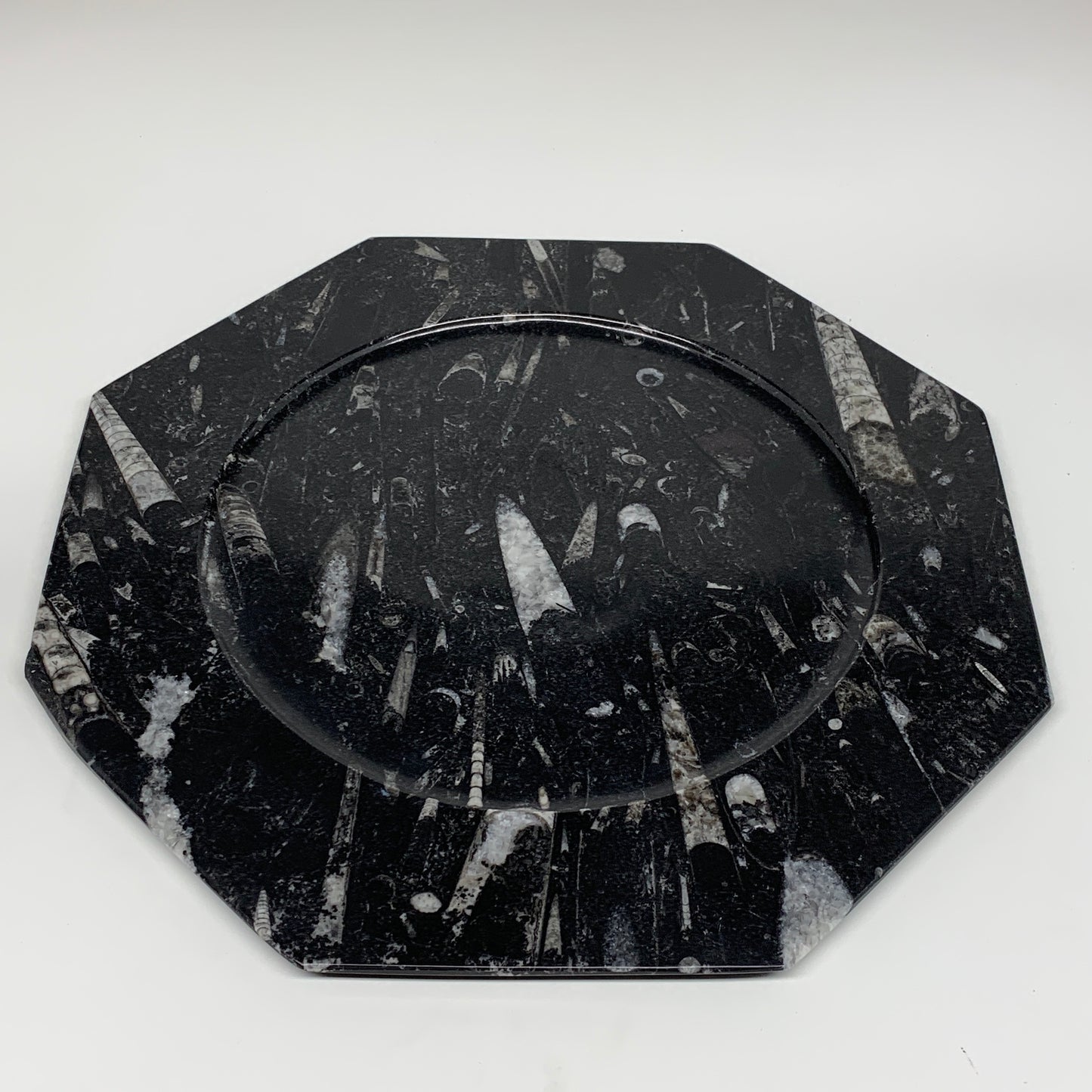 2pcs, 12" Large Octagon Shape Black Fossils Orthoceras Plates @Morocco, B8332