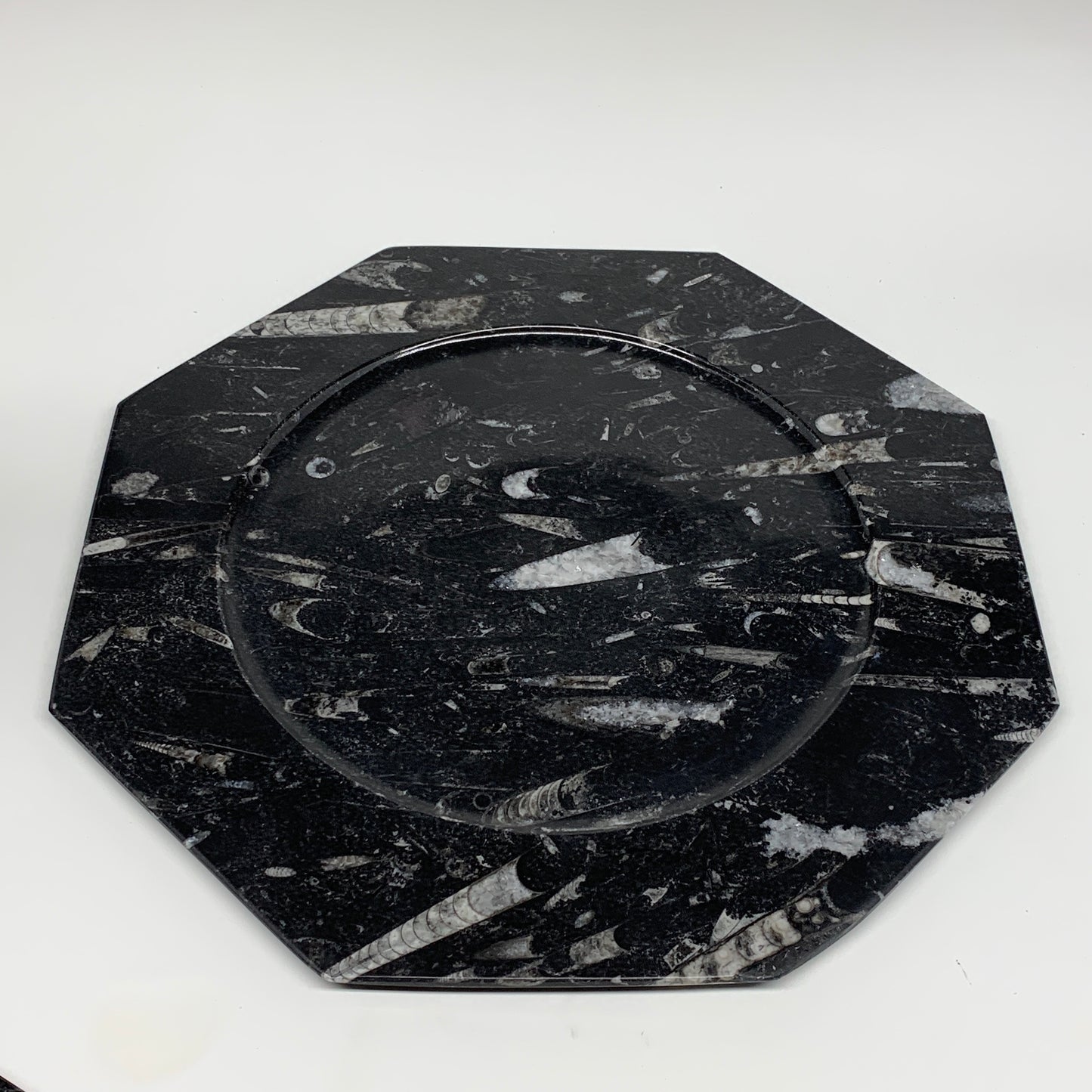 2pcs, 12" Large Octagon Shape Black Fossils Orthoceras Plates @Morocco, B8332