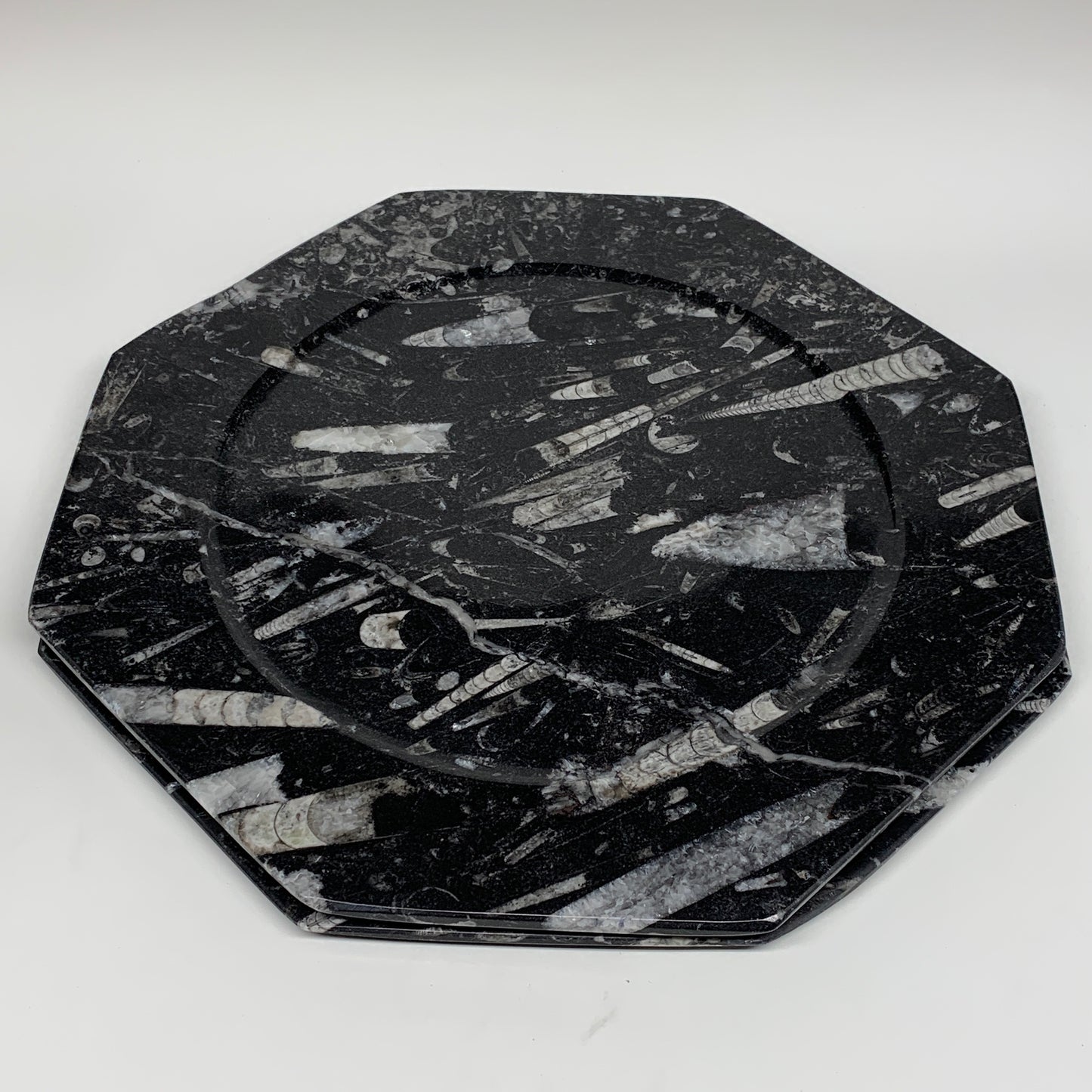 2pcs, 12" Large Octagon Shape Black Fossils Orthoceras Plates @Morocco, B8332