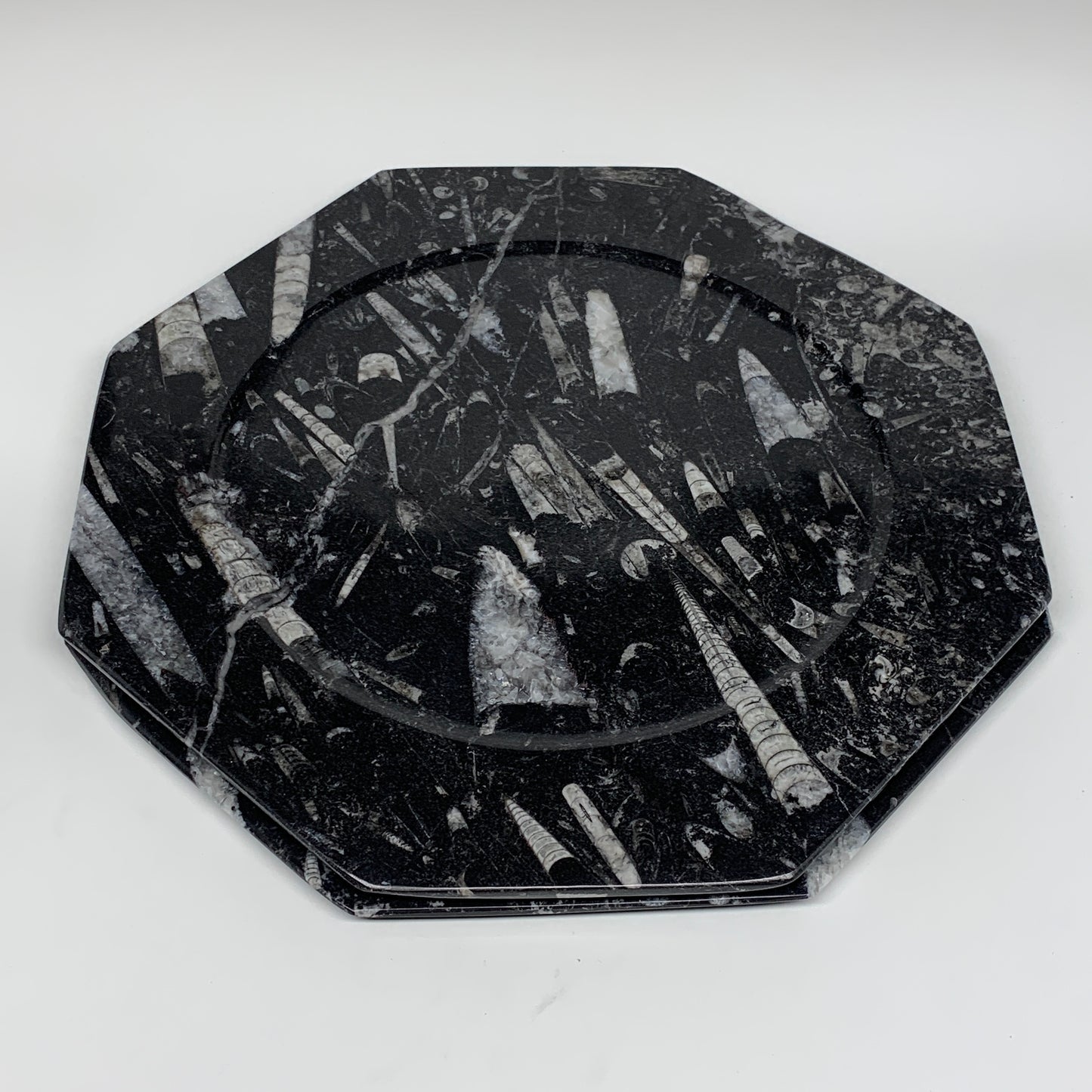 2pcs, 12" Large Octagon Shape Black Fossils Orthoceras Plates @Morocco, B8332