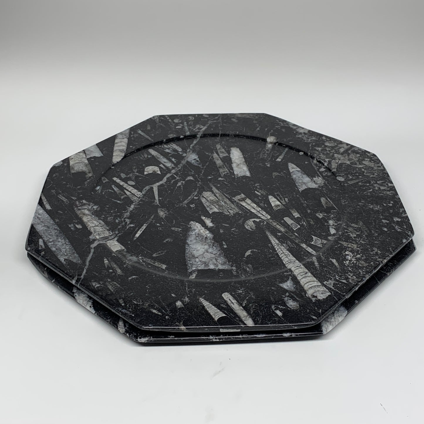 2pcs, 12" Large Octagon Shape Black Fossils Orthoceras Plates @Morocco, B8332