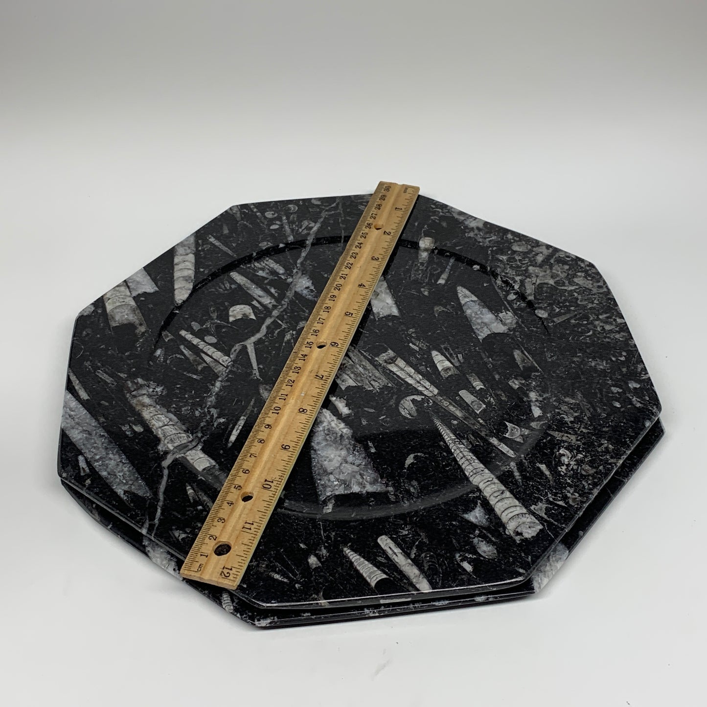 2pcs, 12" Large Octagon Shape Black Fossils Orthoceras Plates @Morocco, B8332