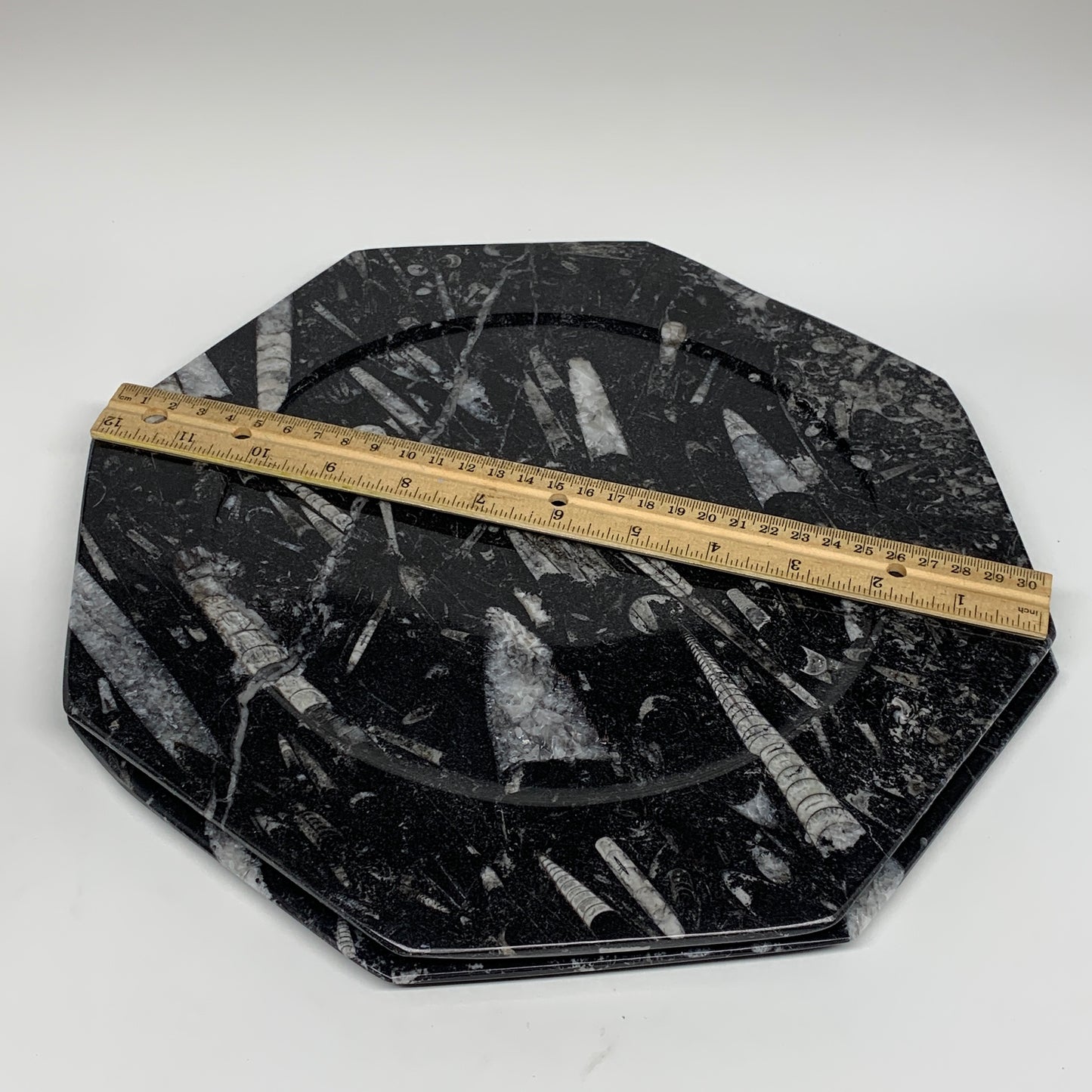 2pcs, 12" Large Octagon Shape Black Fossils Orthoceras Plates @Morocco, B8332