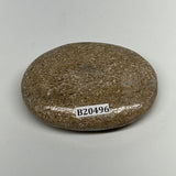 69.9g,2.5"x1.8"x0.7", Small Dinosaur Bones Palm-Stone from Morocco, B20496
