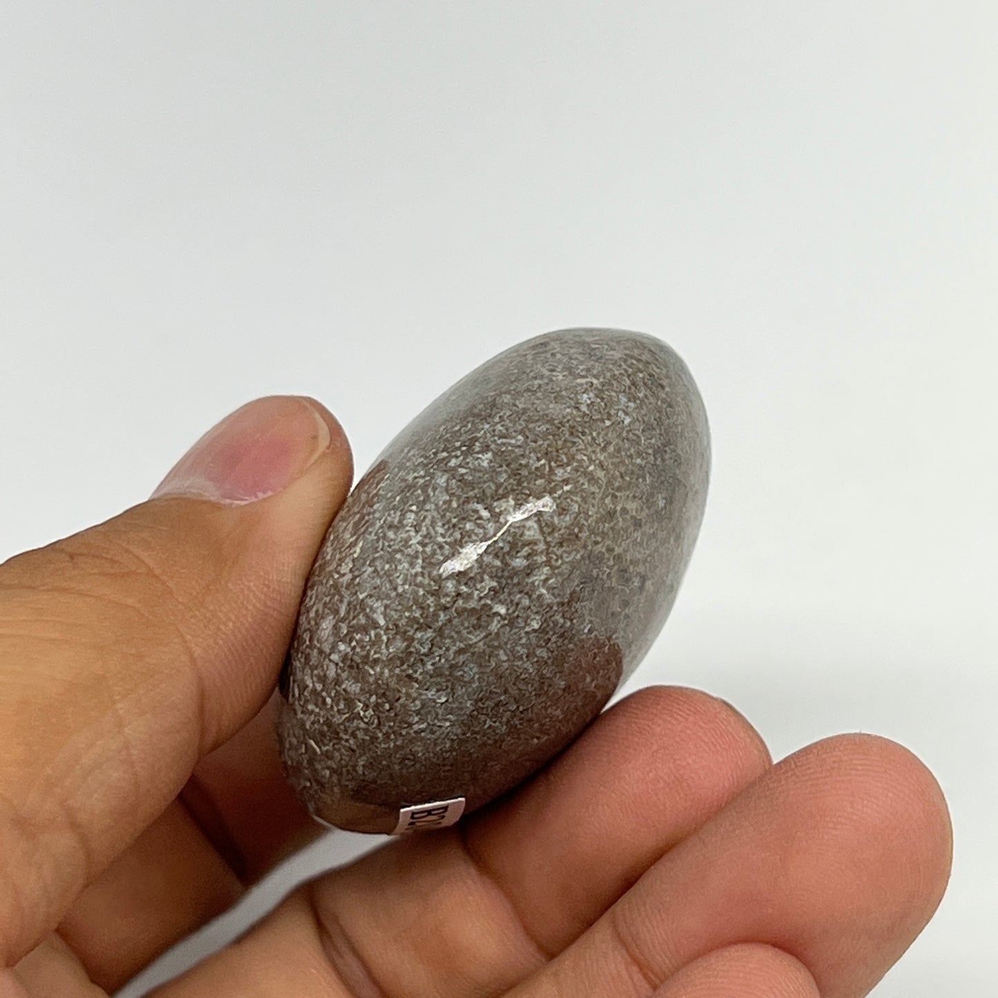 63.6g,1.9"x1.7"x1", Small Dinosaur Bones Palm-Stone from Morocco, B20497