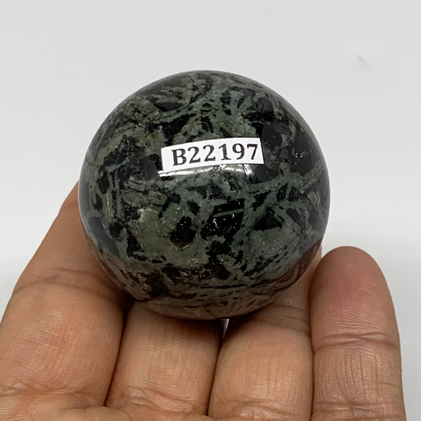 116.6g, 1.7"(42mm), Crocodile Kambaba Jasper Sphere Ball Reiki @Madagascar,B2219