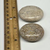 82.8g,1.7"-1.9",  2pcs, Small Dinosaur Bones Palm-Stone @Morocco, B20498