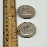 44g,1.4"-1.5",  2pcs, Small Dinosaur Bones Palm-Stone @Morocco, B20500
