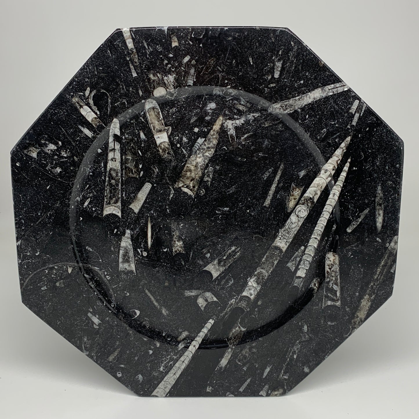 2pcs, 12" Large Octagon Shape Black Fossils Orthoceras Plates @Morocco, B8339