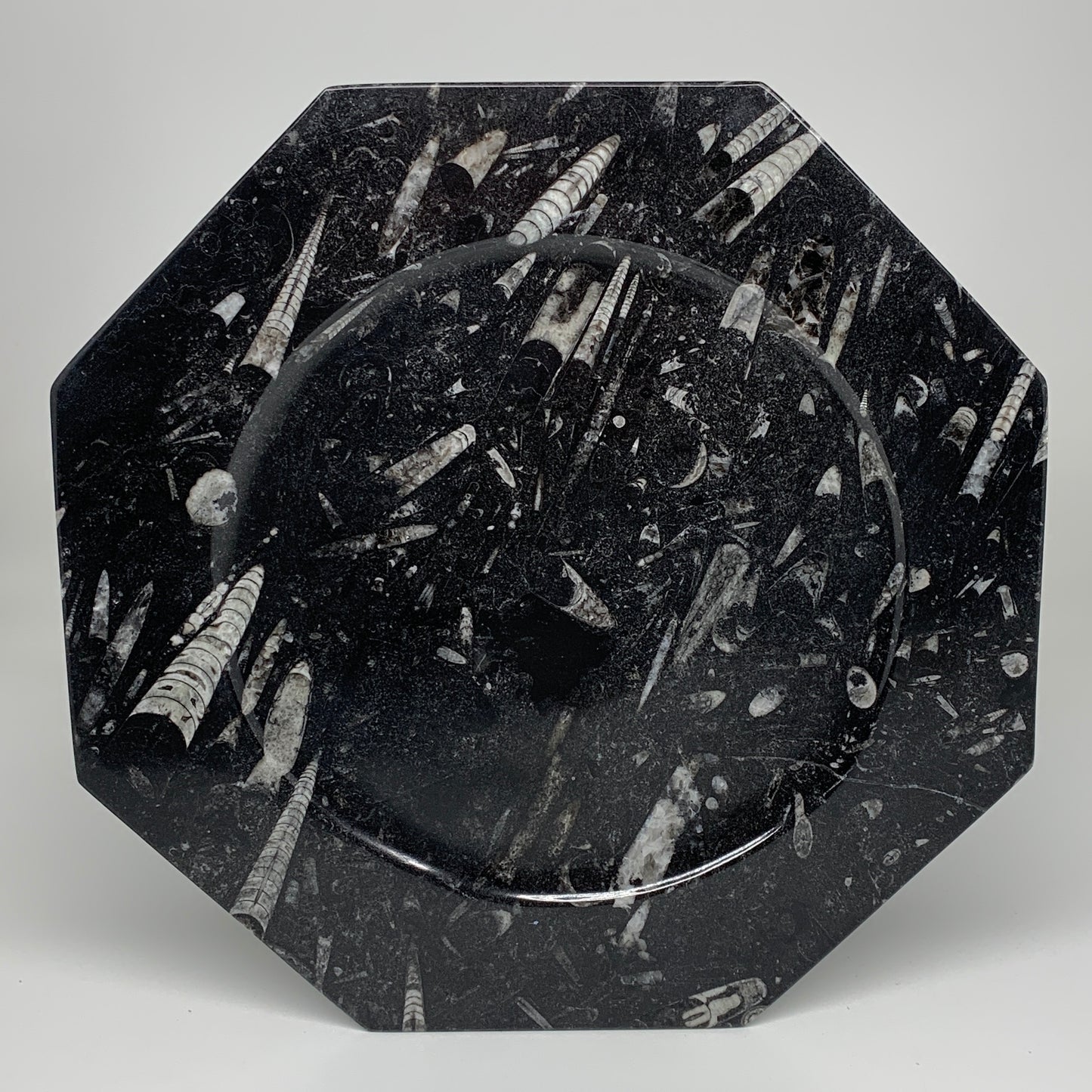 2pcs, 12" Large Octagon Shape Black Fossils Orthoceras Plates @Morocco, B8339
