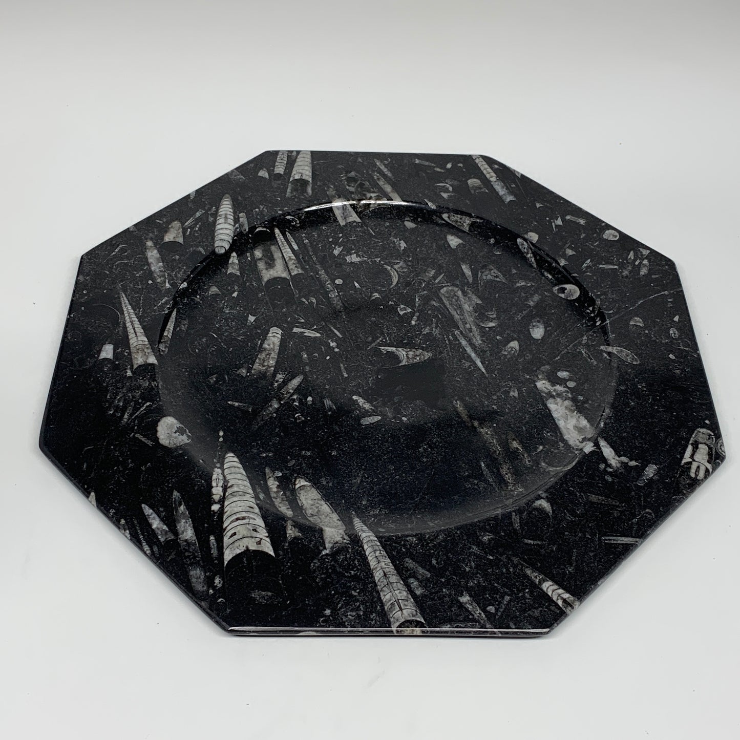 2pcs, 12" Large Octagon Shape Black Fossils Orthoceras Plates @Morocco, B8339