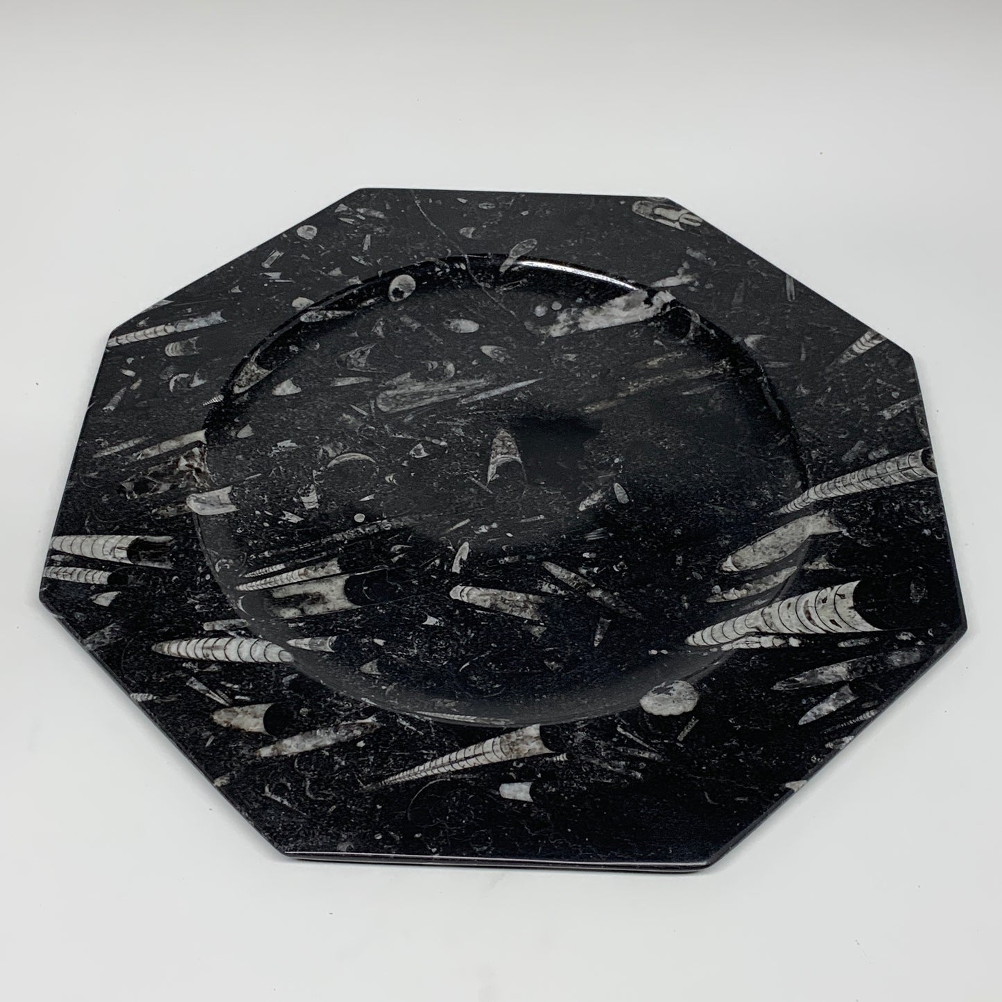 2pcs, 12" Large Octagon Shape Black Fossils Orthoceras Plates @Morocco, B8339