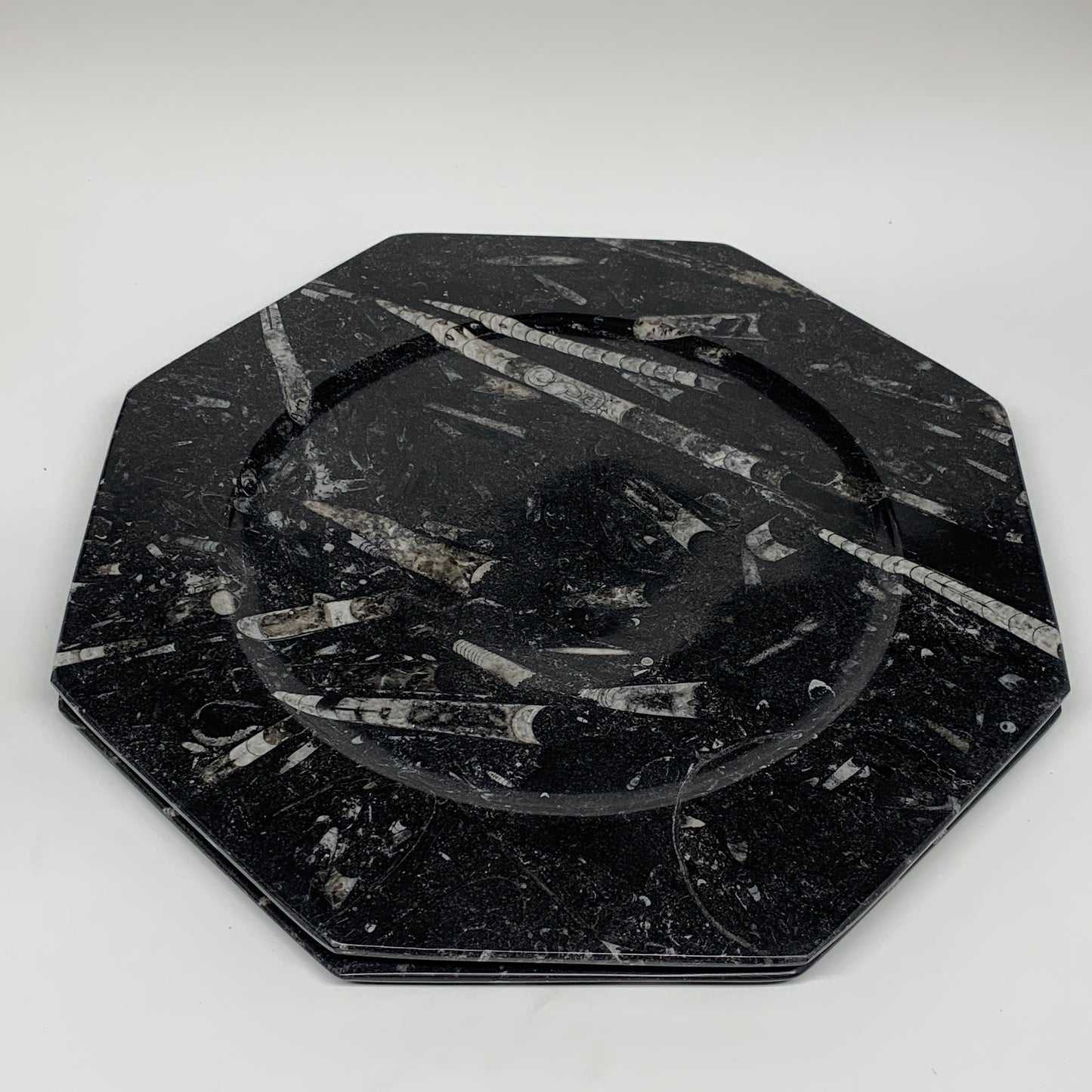 2pcs, 12" Large Octagon Shape Black Fossils Orthoceras Plates @Morocco, B8339