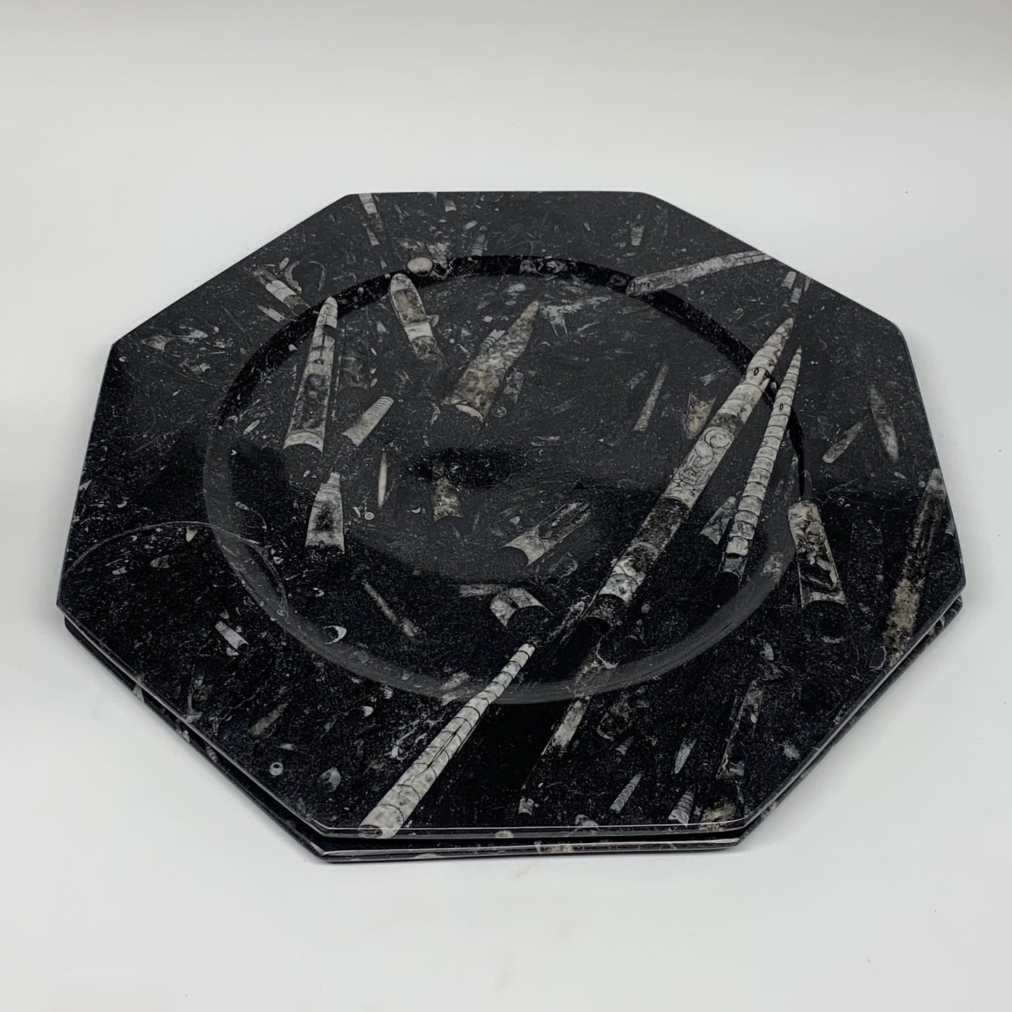 2pcs, 12" Large Octagon Shape Black Fossils Orthoceras Plates @Morocco, B8339