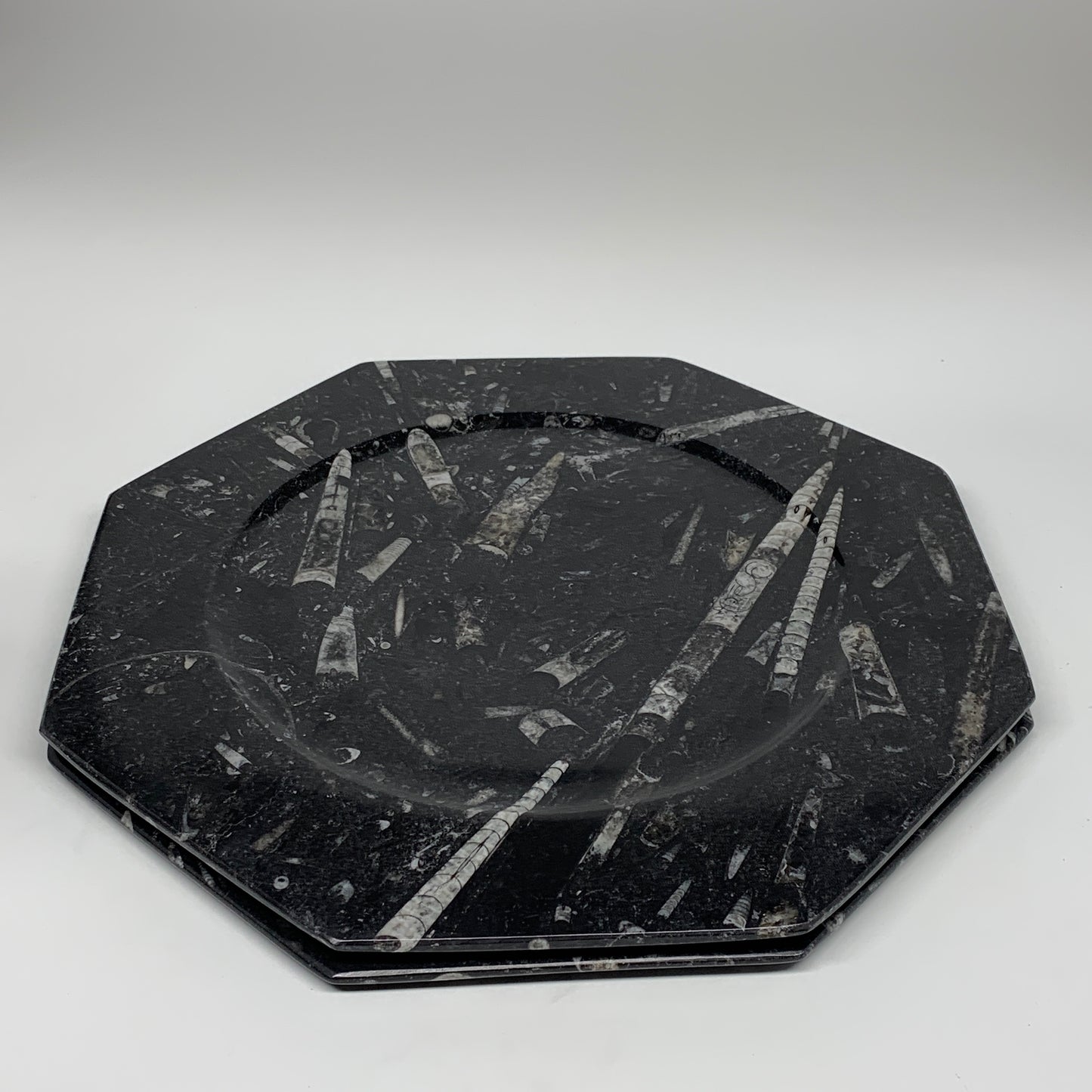 2pcs, 12" Large Octagon Shape Black Fossils Orthoceras Plates @Morocco, B8339