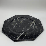 2pcs, 12" Large Octagon Shape Black Fossils Orthoceras Plates @Morocco, B8339