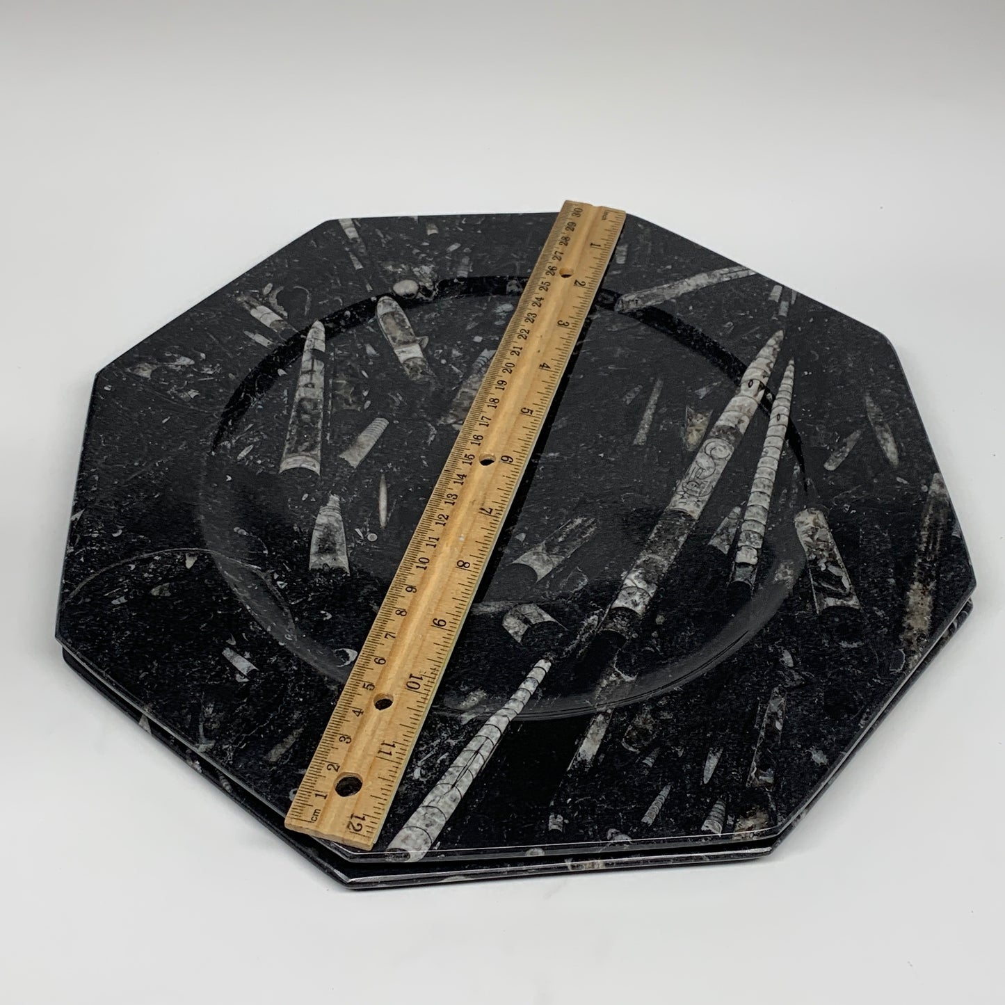 2pcs, 12" Large Octagon Shape Black Fossils Orthoceras Plates @Morocco, B8339
