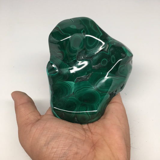 602g,3.9"x4.5"x1.6" Shiny Glassy Polish Natural Malachite Gemstone Congo,MS371 - watangem.com