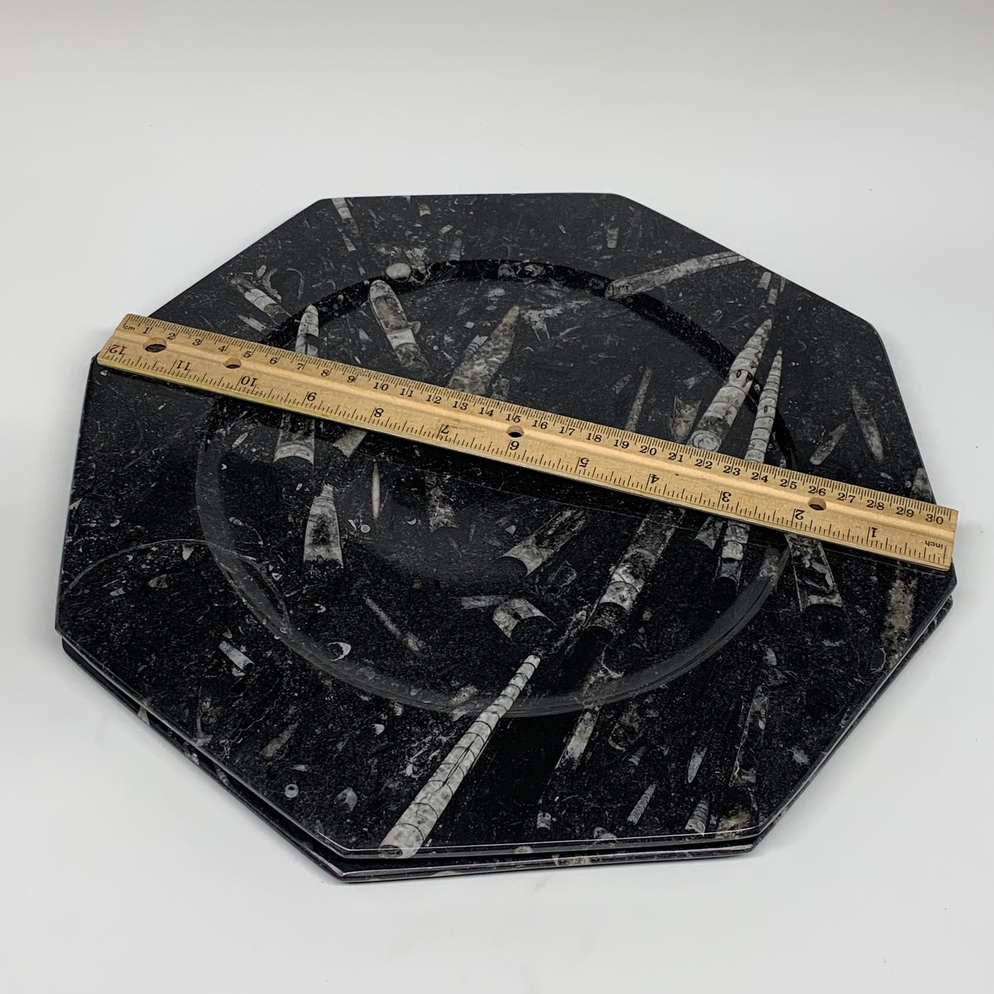 2pcs, 12" Large Octagon Shape Black Fossils Orthoceras Plates @Morocco, B8339