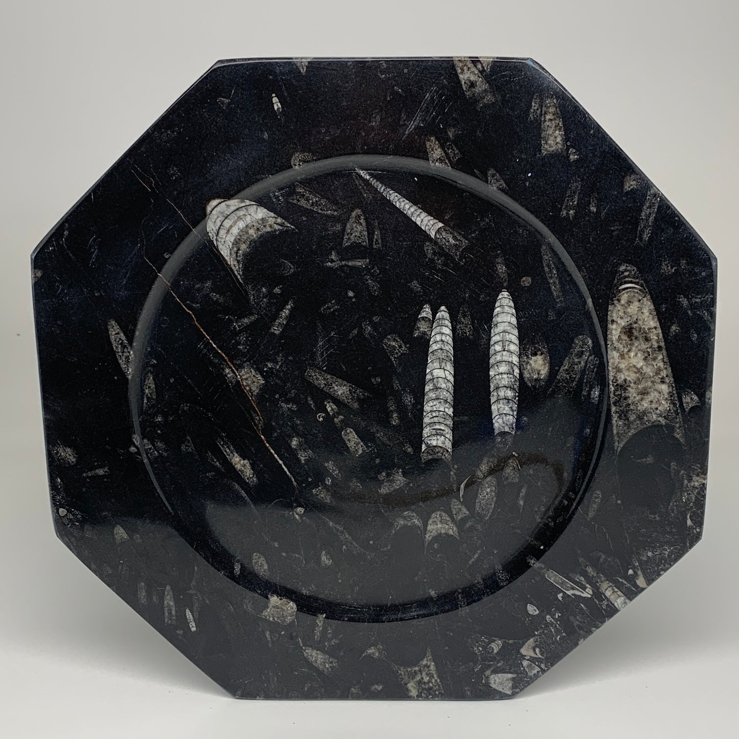 2pcs, 12" Large Octagon Shape Black Fossils Orthoceras Plates @Morocco, B8343