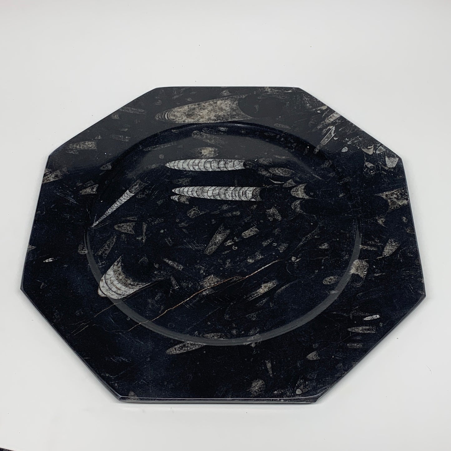 2pcs, 12" Large Octagon Shape Black Fossils Orthoceras Plates @Morocco, B8343
