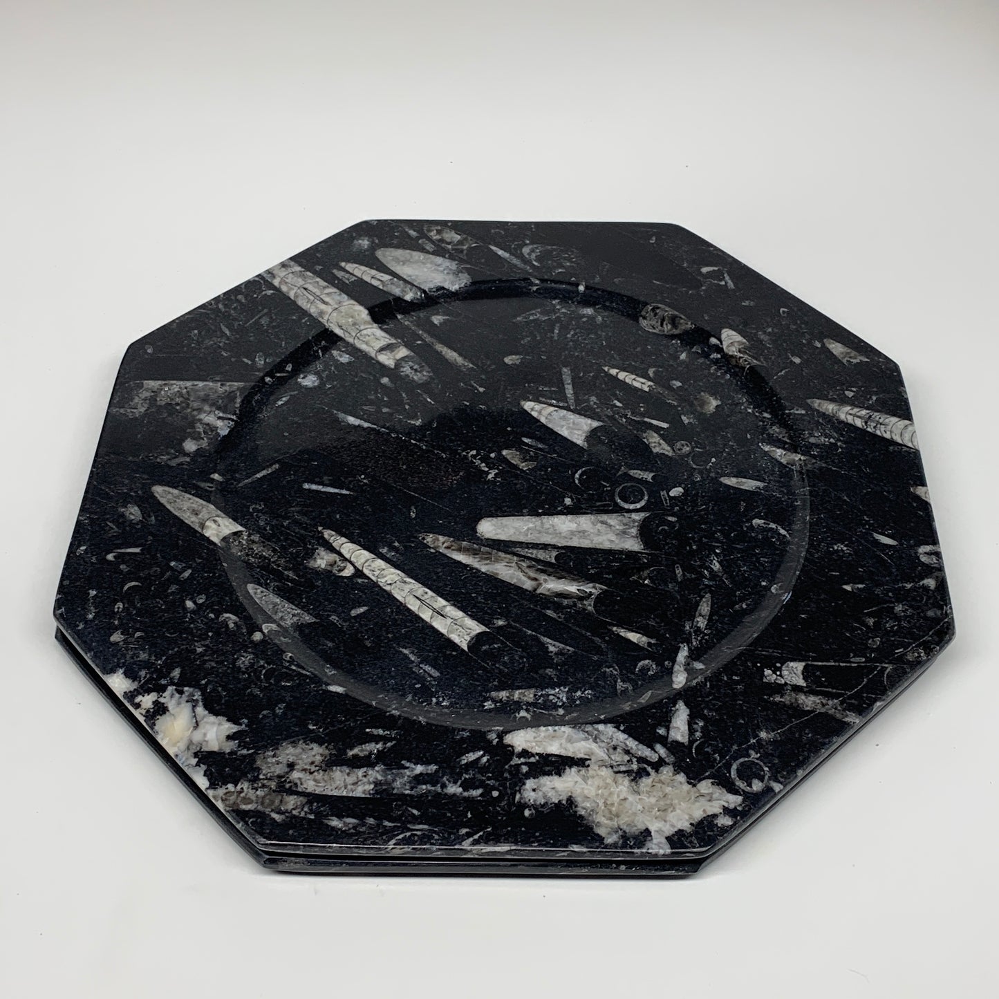 2pcs, 12" Large Octagon Shape Black Fossils Orthoceras Plates @Morocco, B8343