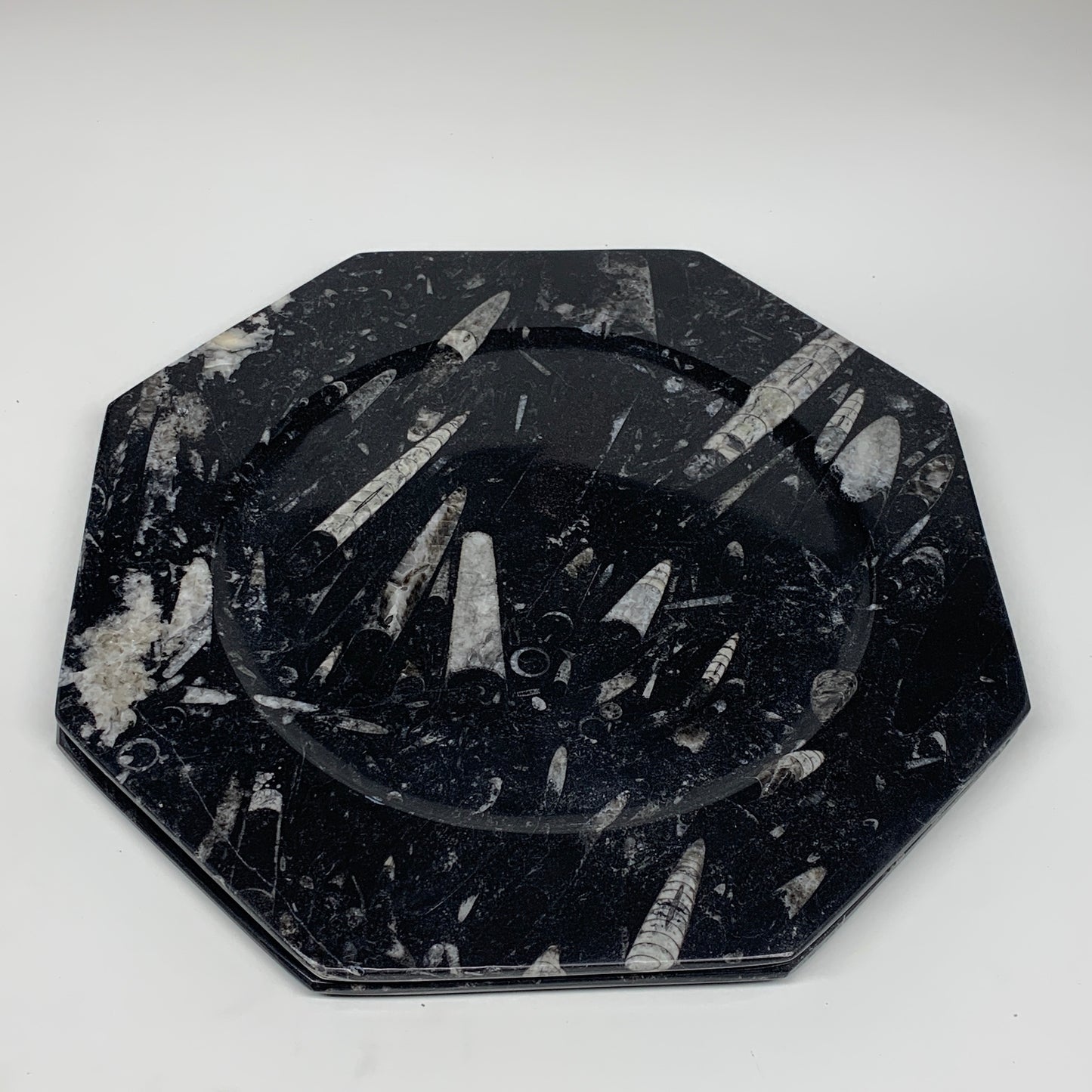 2pcs, 12" Large Octagon Shape Black Fossils Orthoceras Plates @Morocco, B8343