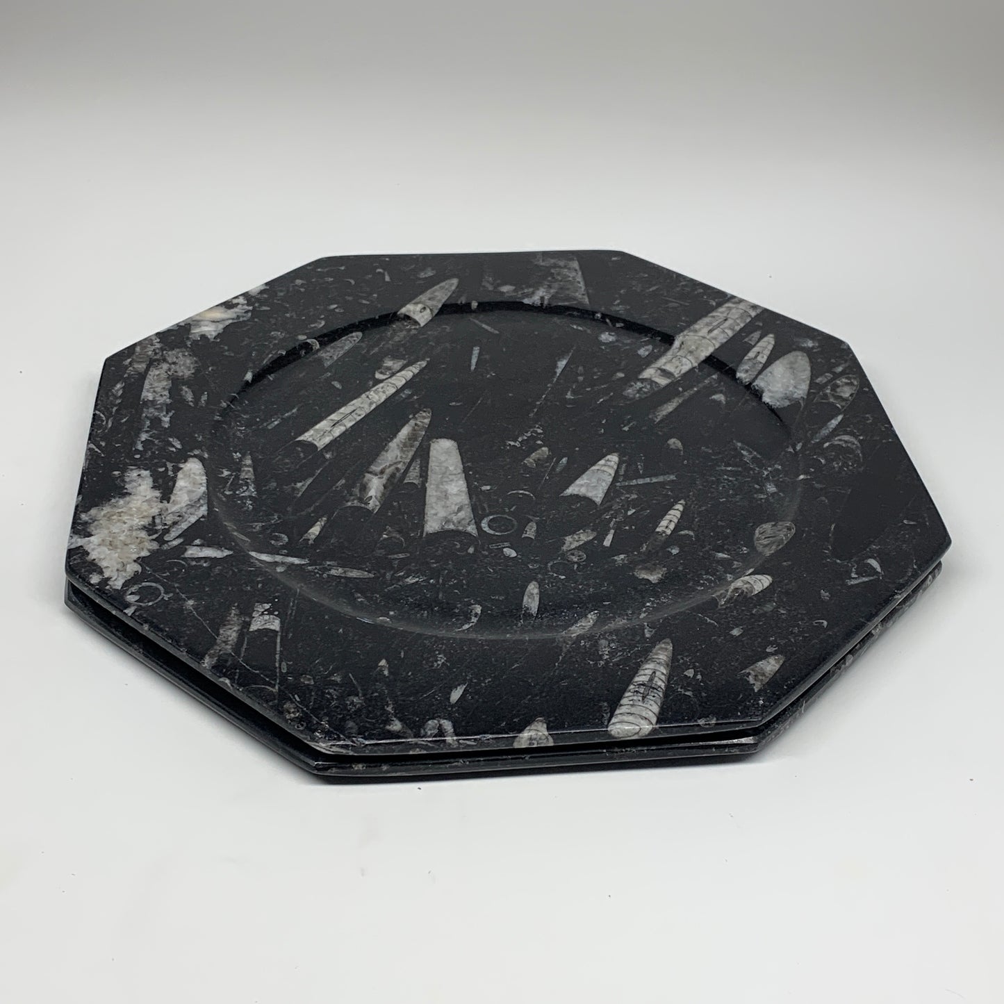 2pcs, 12" Large Octagon Shape Black Fossils Orthoceras Plates @Morocco, B8343