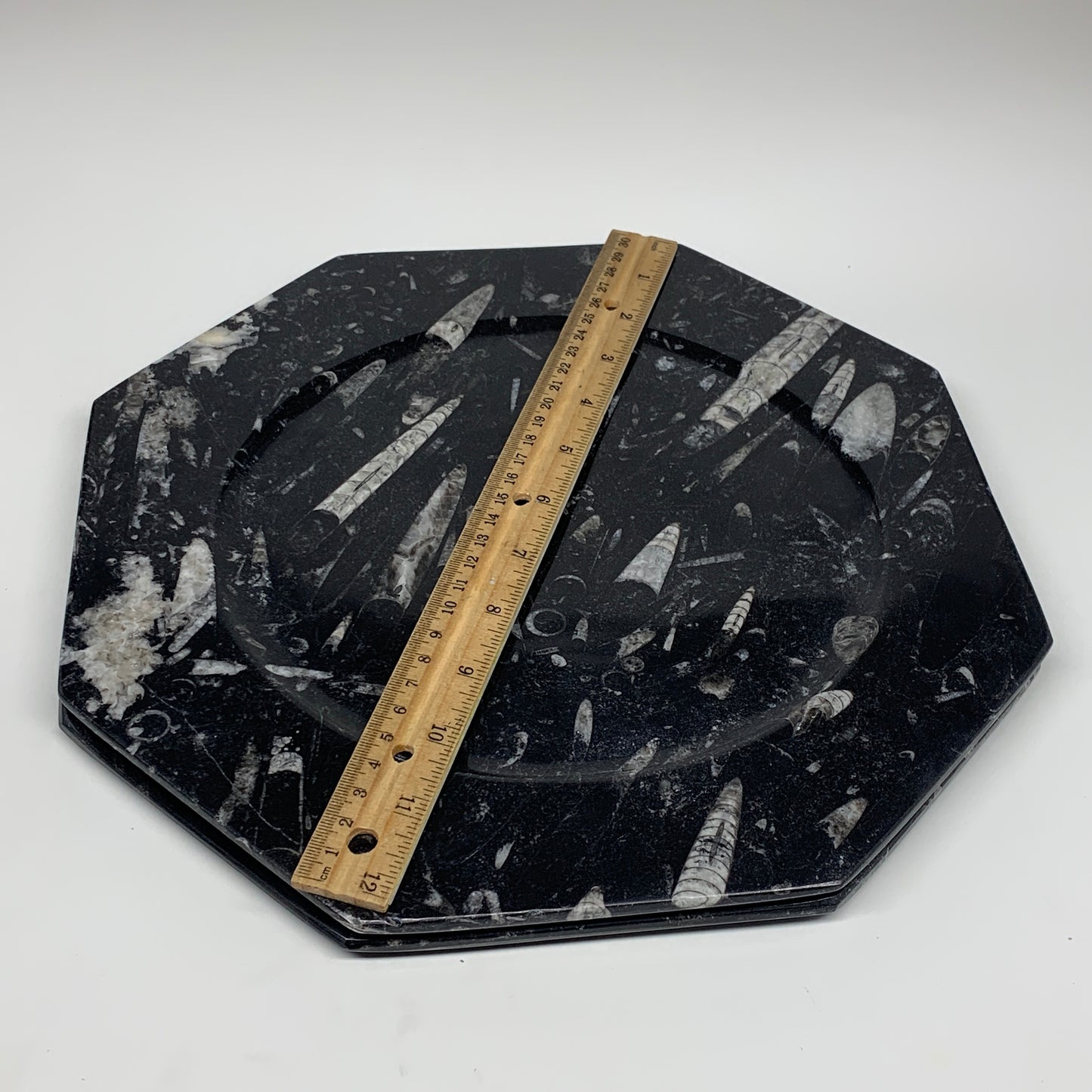 2pcs, 12" Large Octagon Shape Black Fossils Orthoceras Plates @Morocco, B8343