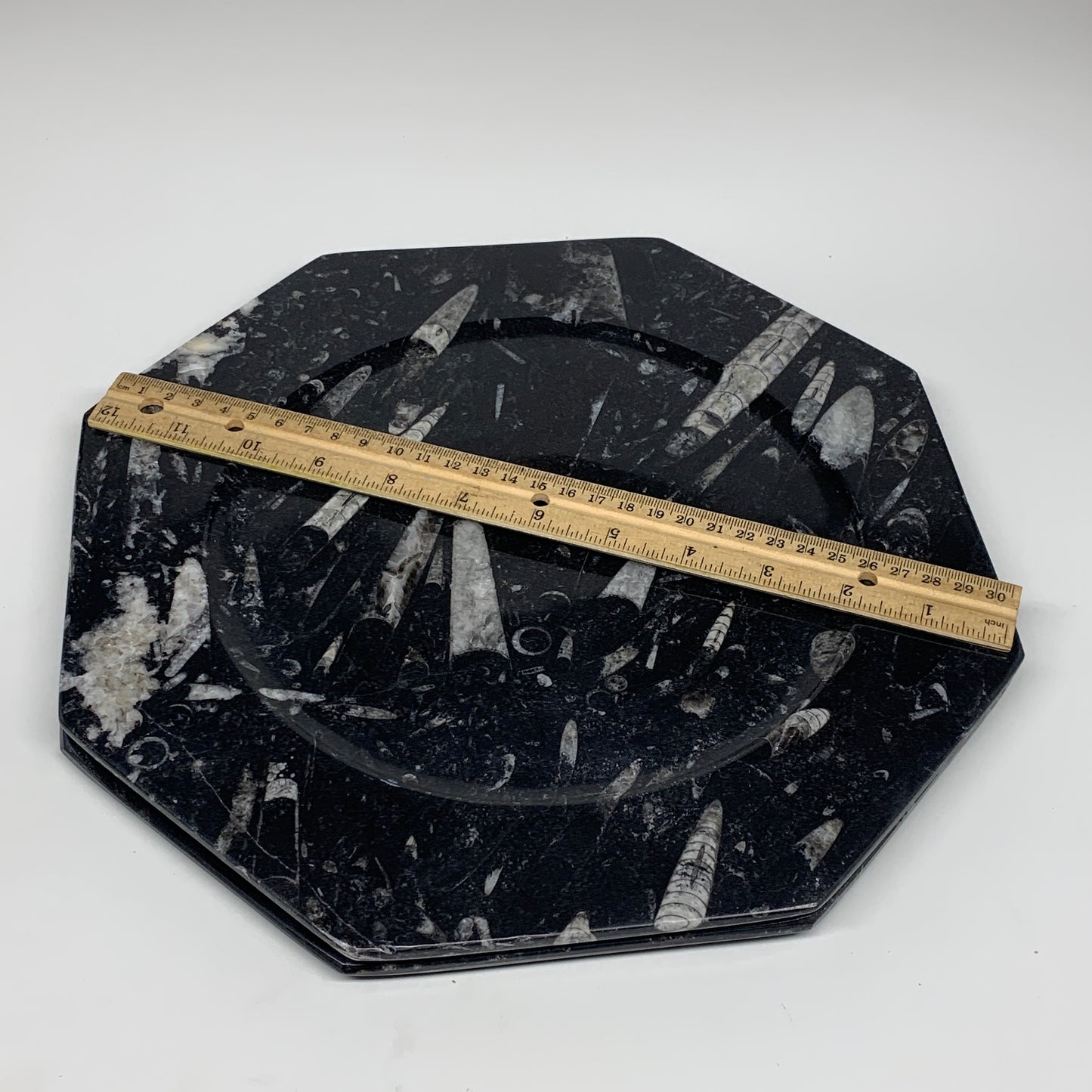 2pcs, 12" Large Octagon Shape Black Fossils Orthoceras Plates @Morocco, B8343