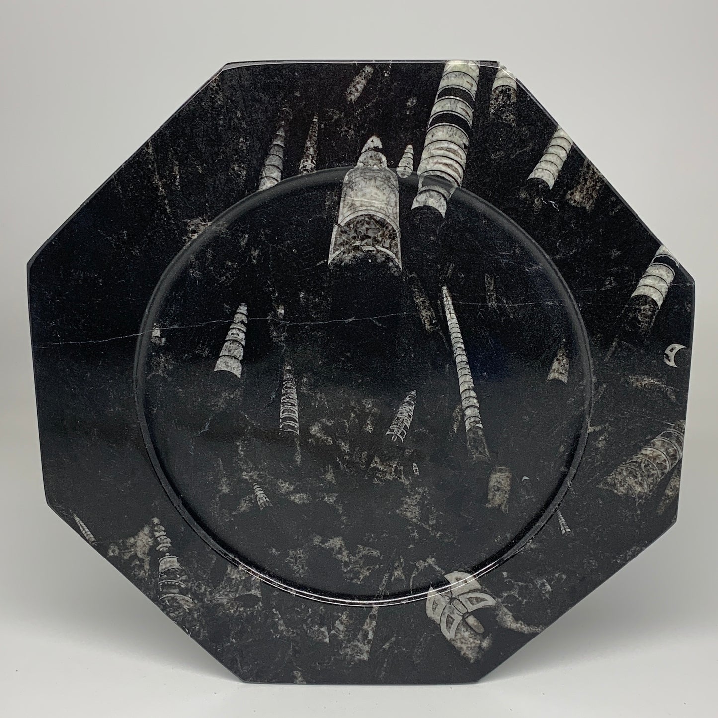 2pcs, 12" Large Octagon Shape Black Fossils Orthoceras Plates @Morocco, B8345