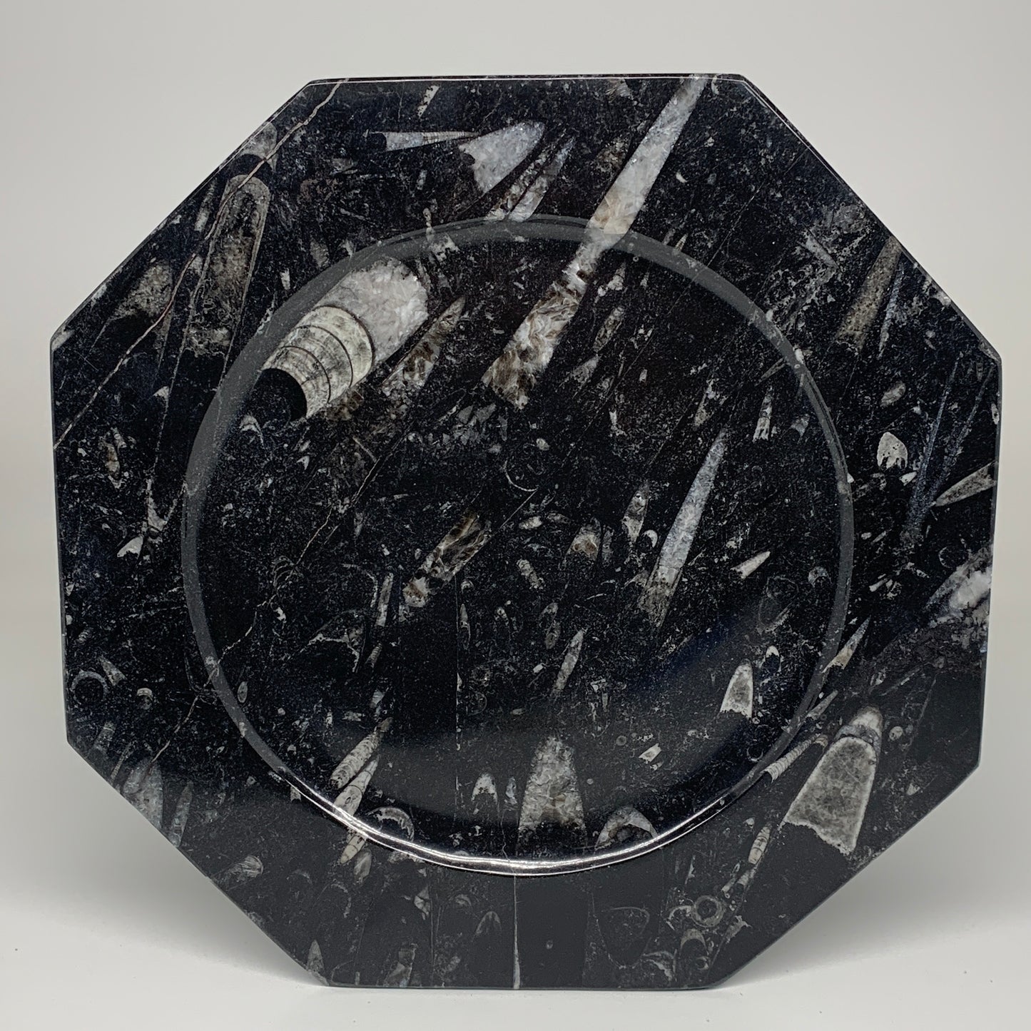 2pcs, 12" Large Octagon Shape Black Fossils Orthoceras Plates @Morocco, B8345