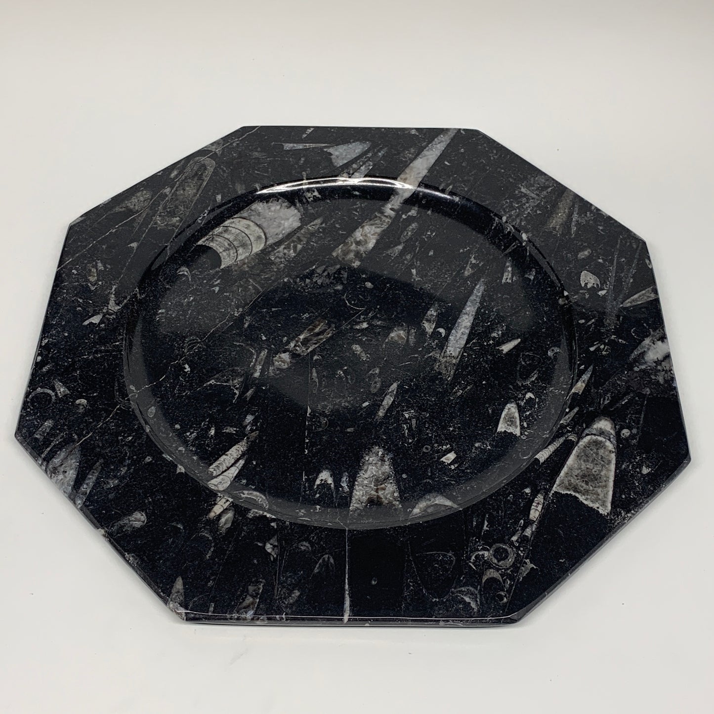 2pcs, 12" Large Octagon Shape Black Fossils Orthoceras Plates @Morocco, B8345