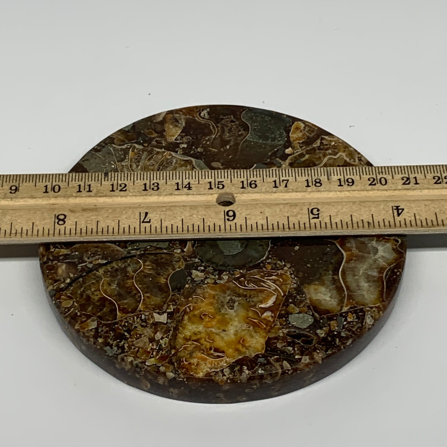 235g, 4.4"x0.5", Ammonite coaster fossils made round disc @Madagascar, B15024