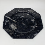 2pcs, 12" Large Octagon Shape Black Fossils Orthoceras Plates @Morocco, B8345