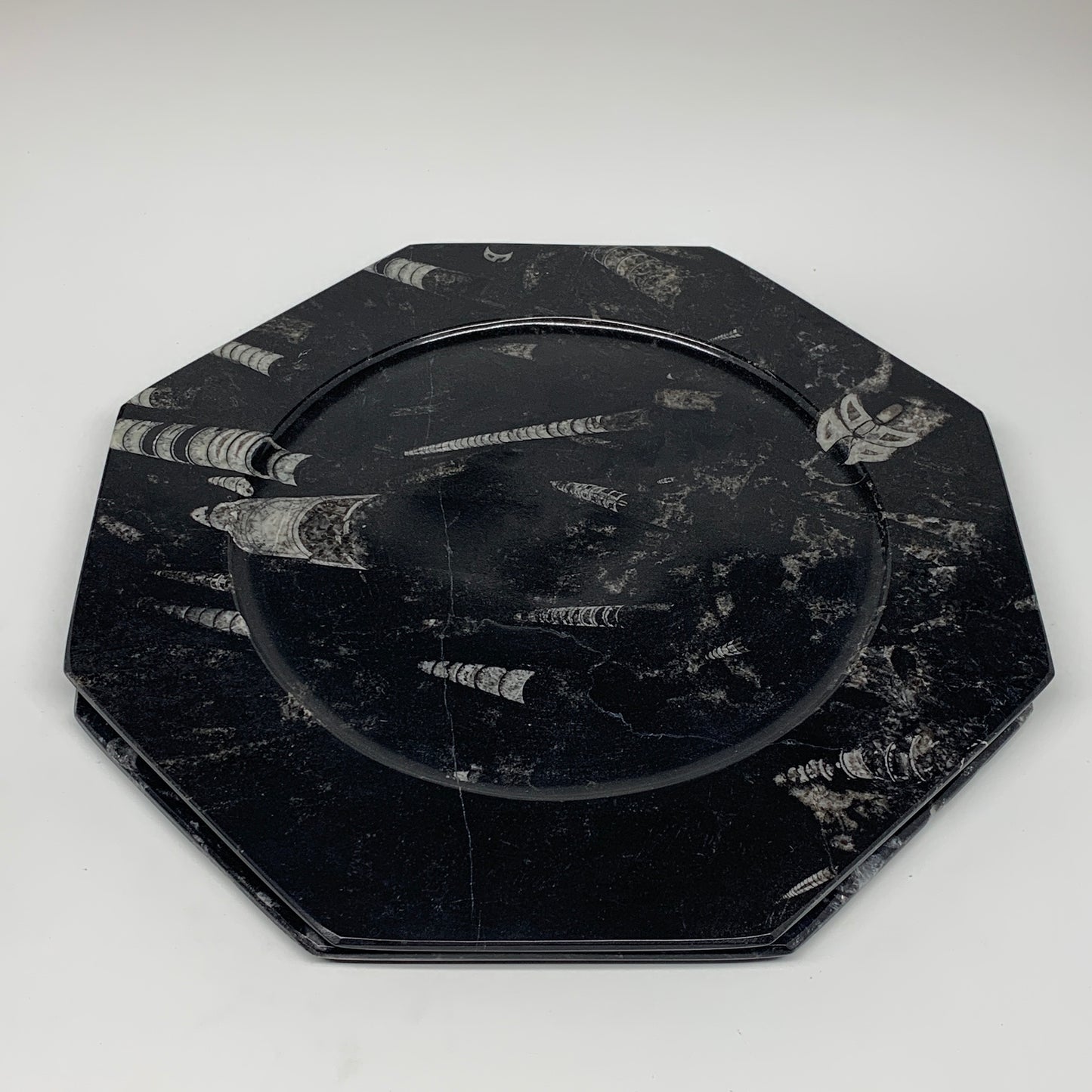 2pcs, 12" Large Octagon Shape Black Fossils Orthoceras Plates @Morocco, B8345
