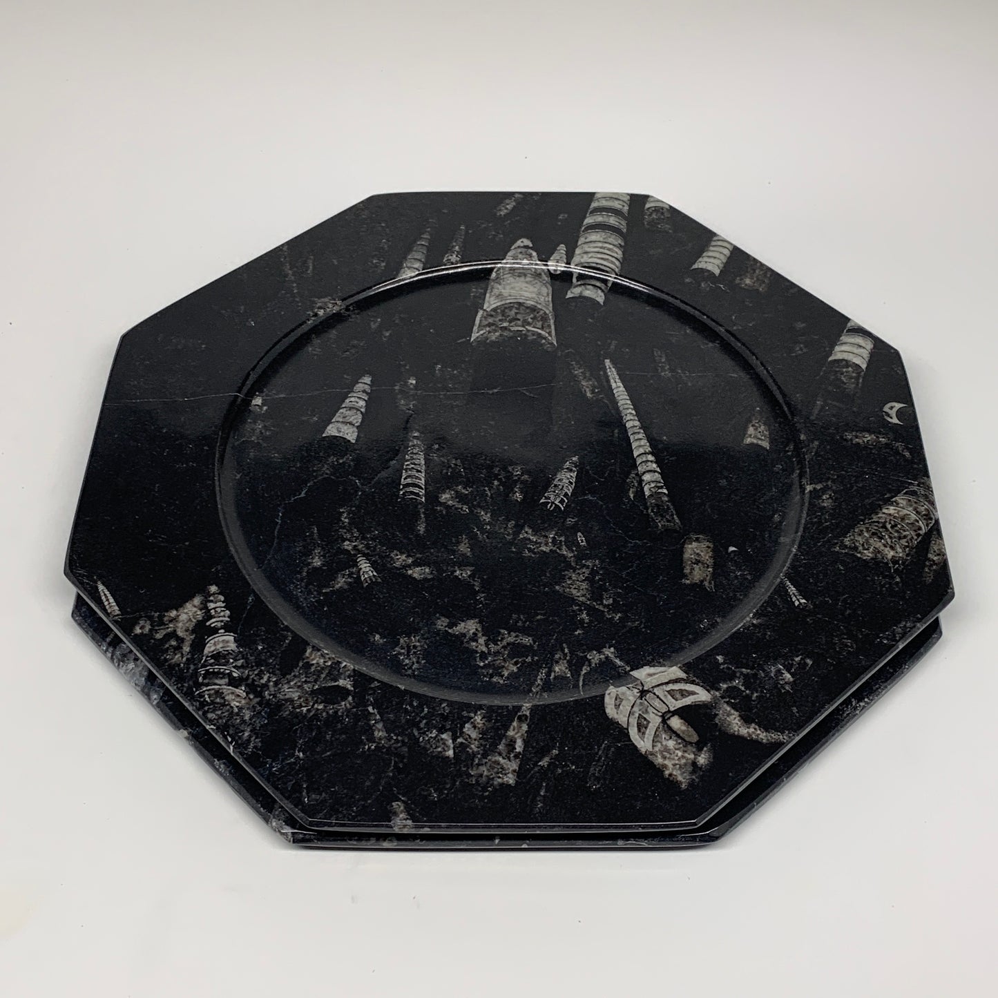 2pcs, 12" Large Octagon Shape Black Fossils Orthoceras Plates @Morocco, B8345