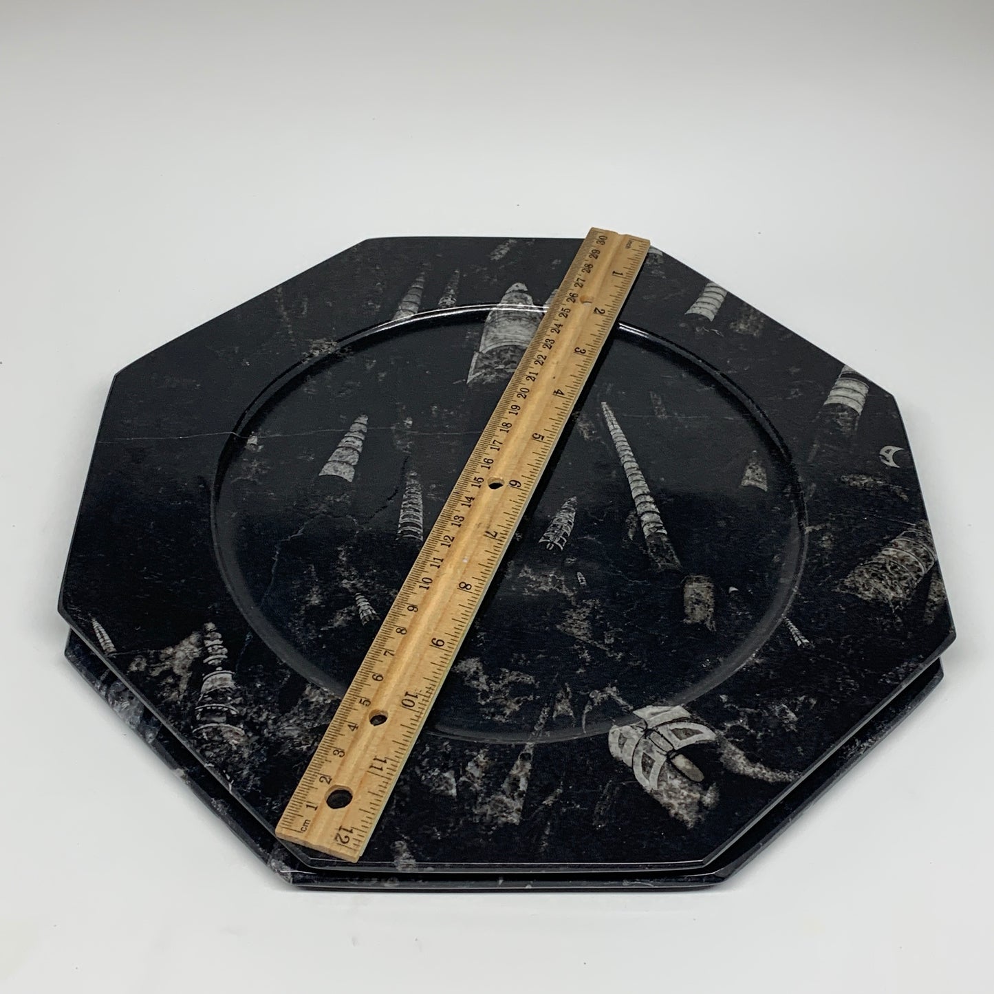 2pcs, 12" Large Octagon Shape Black Fossils Orthoceras Plates @Morocco, B8345