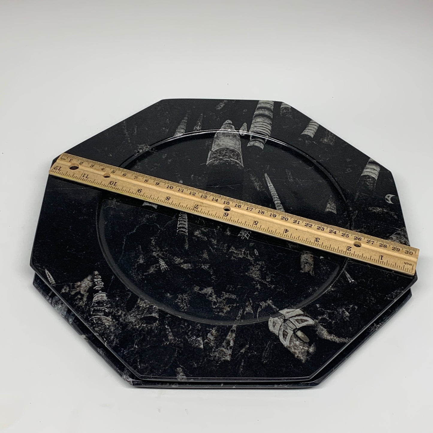 2pcs, 12" Large Octagon Shape Black Fossils Orthoceras Plates @Morocco, B8345
