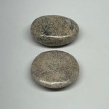 79g,1.7"-1.8",  2pcs, Small Dinosaur Bones Palm-Stone @Morocco, B20509