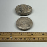 79g,1.7"-1.8",  2pcs, Small Dinosaur Bones Palm-Stone @Morocco, B20509