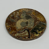 198g, 4.4"x0.4", Ammonite coaster fossils made round disc @Madagascar, B15026