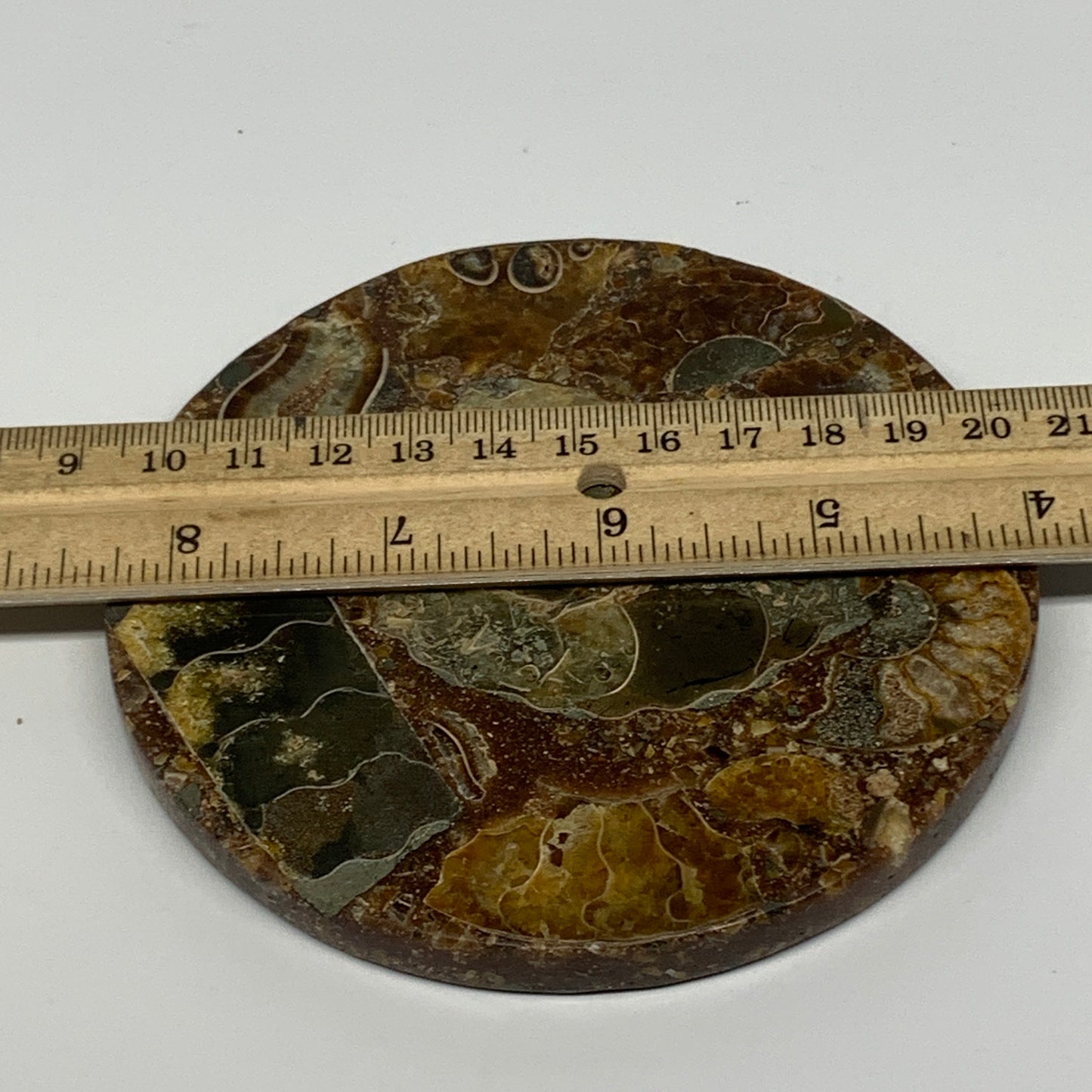 198g, 4.4"x0.4", Ammonite coaster fossils made round disc @Madagascar, B15026