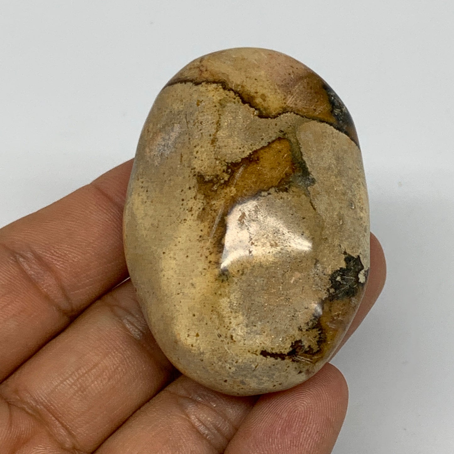66g, 2.3"x1.6"x1", Yellow Ocean Jasper Palm-Stone Decor @Madagascar, B18176